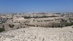 Lee más sobre el artículo 10 imprescindibles que ver en tu ruta por la Ciudad Vieja de Jerusalén